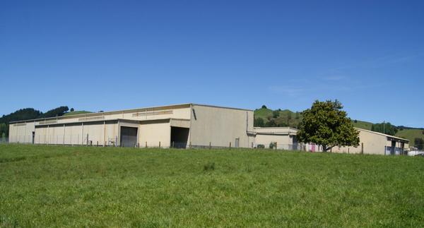 The former AFFCO meatworks at Taumarunui - gutted and now for sale.  